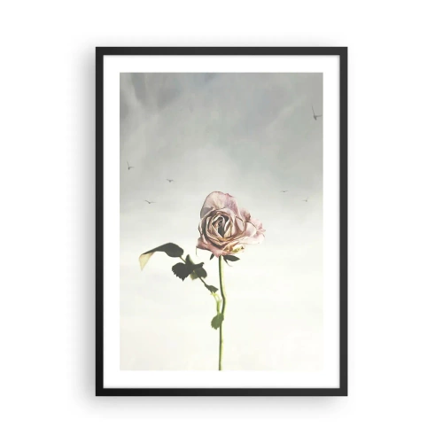 Plakat i sort ramme - En diskret rose mod en sart himmel - 50x70cm - Velkomst til foråret - Moderne vægdekoration til stue og soveværelse ARTTOR
