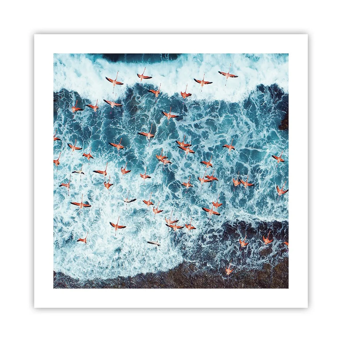 Plakat - Parade ved havet - 50x50 cm