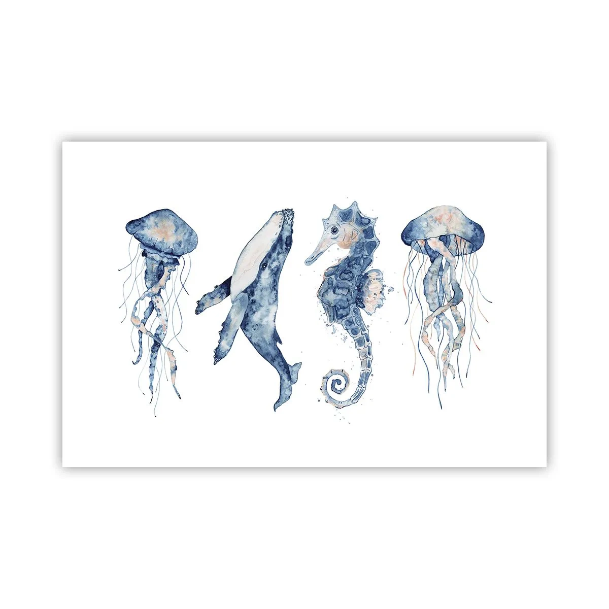 Plakat - Havets vidundere - 91x61 cm
