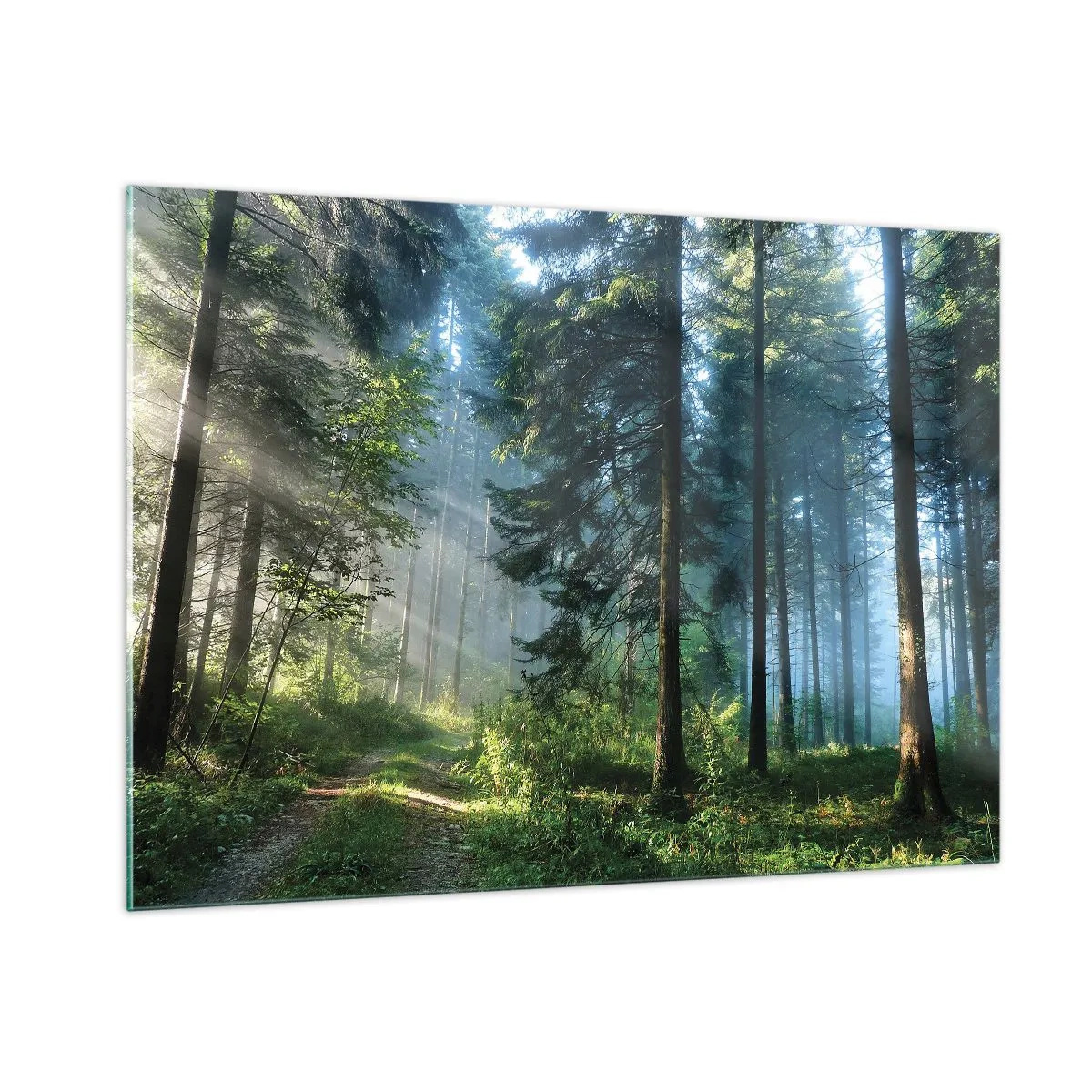 Billede på glas - Strålende om morgenen - 100x70 cm
