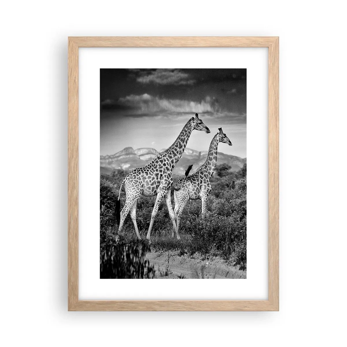 Plakat i ramme af lyst egetræ - Afrikas overklasse - 30x40 cm