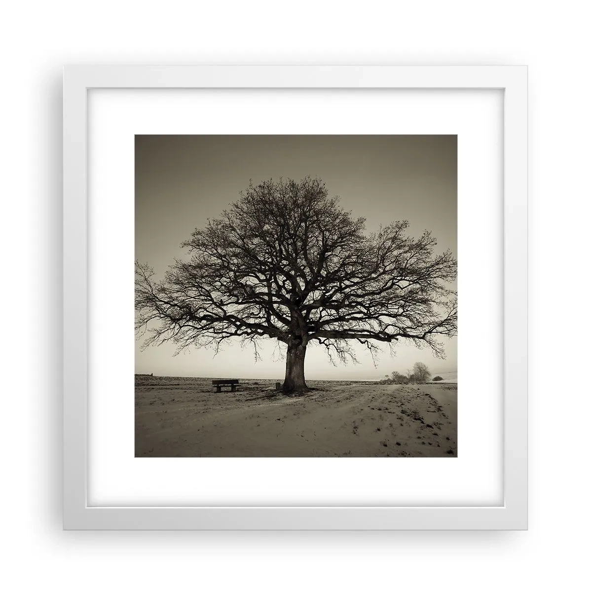 Plakat i hvid ramme - Herfra og til evigheden - 30x30 cm