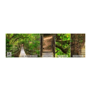 Prøve Fototapet Selvklæbende Deluxe Sticker - Fordi der vokser en slyngplante i haven - Landskab, Skov, Natur - 100x30 cm