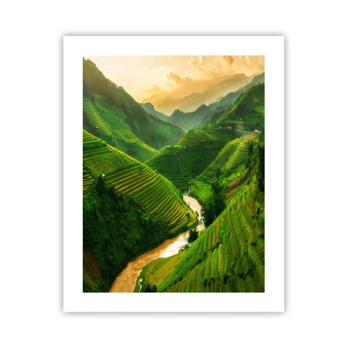 Plakat - Vietnamesisk dal - 40x50 cm