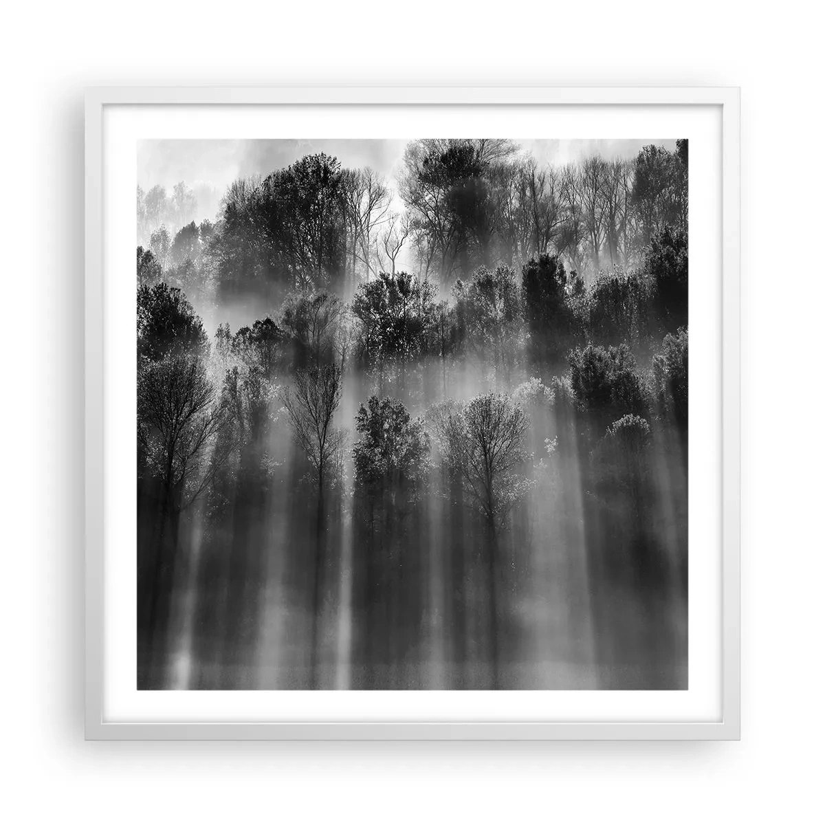 Plakat i hvid ramme - I stråler af lys - 60x60 cm