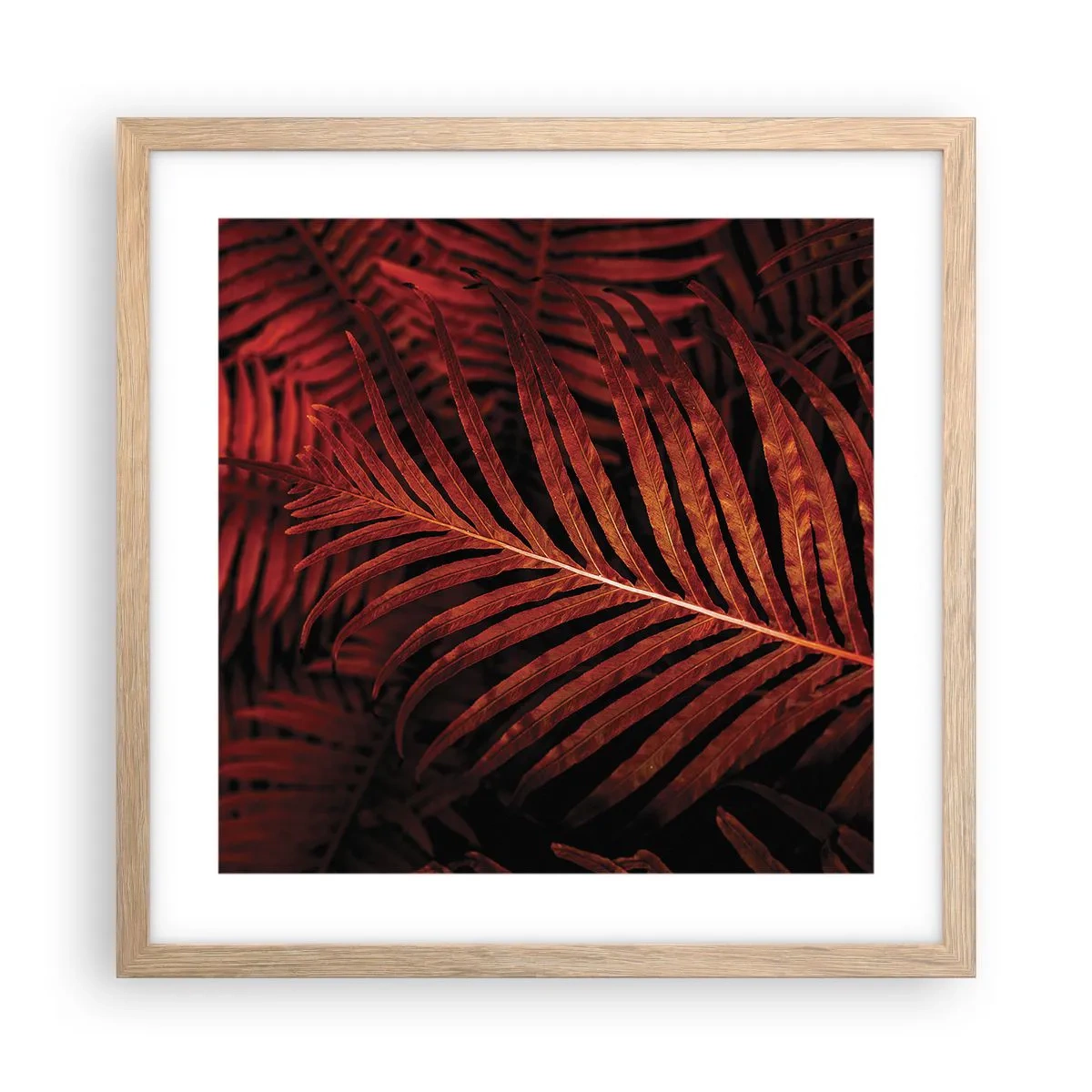 Plakat i ramme af lyst egetræ - Livets varme - 40x40 cm