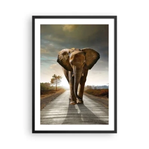 Plakat i sort ramme - En elefant går langs vejen ved solnedgang - 50x70cm - Og slet ikke i en porcelænsbutik - Moderne vægdekoration til stue og soveværelse ARTTOR