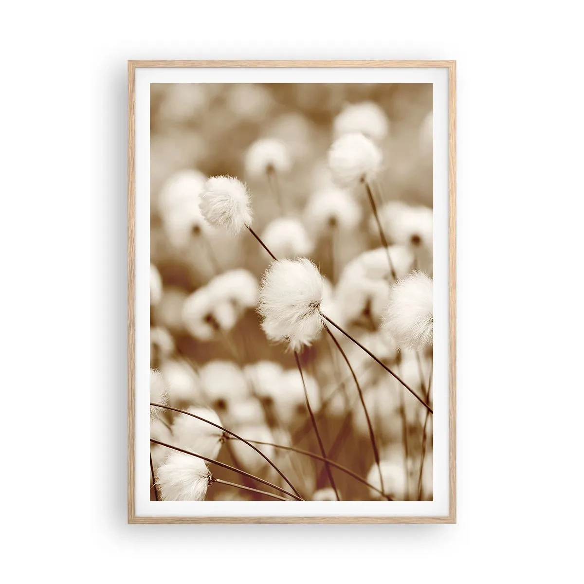 Plakat i ramme af lyst egetræ - Fyldig mark - 70x100 cm