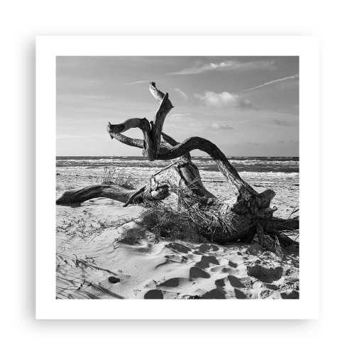 Plakat - Havets skulptur - 50x50 cm