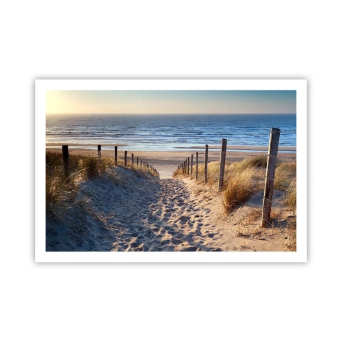 Plakat - Havet brummer, fuglene synger, en vild strand midt i græsset.... - 91x61 cm