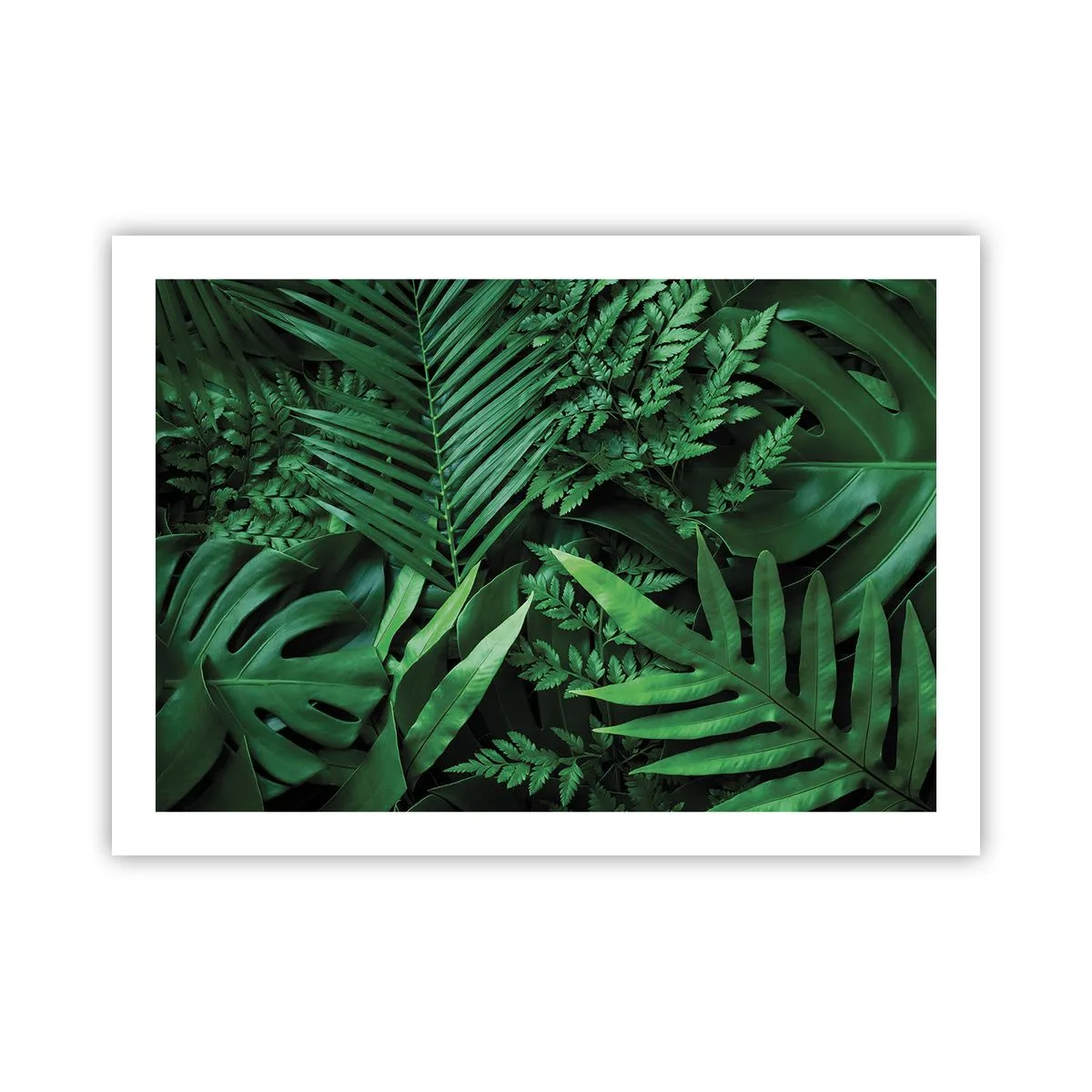 Plakat - Kranset i grønt - 70x50 cm