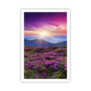 Plakat - Urter duftede friske bundter fra niw - 61x91 cm