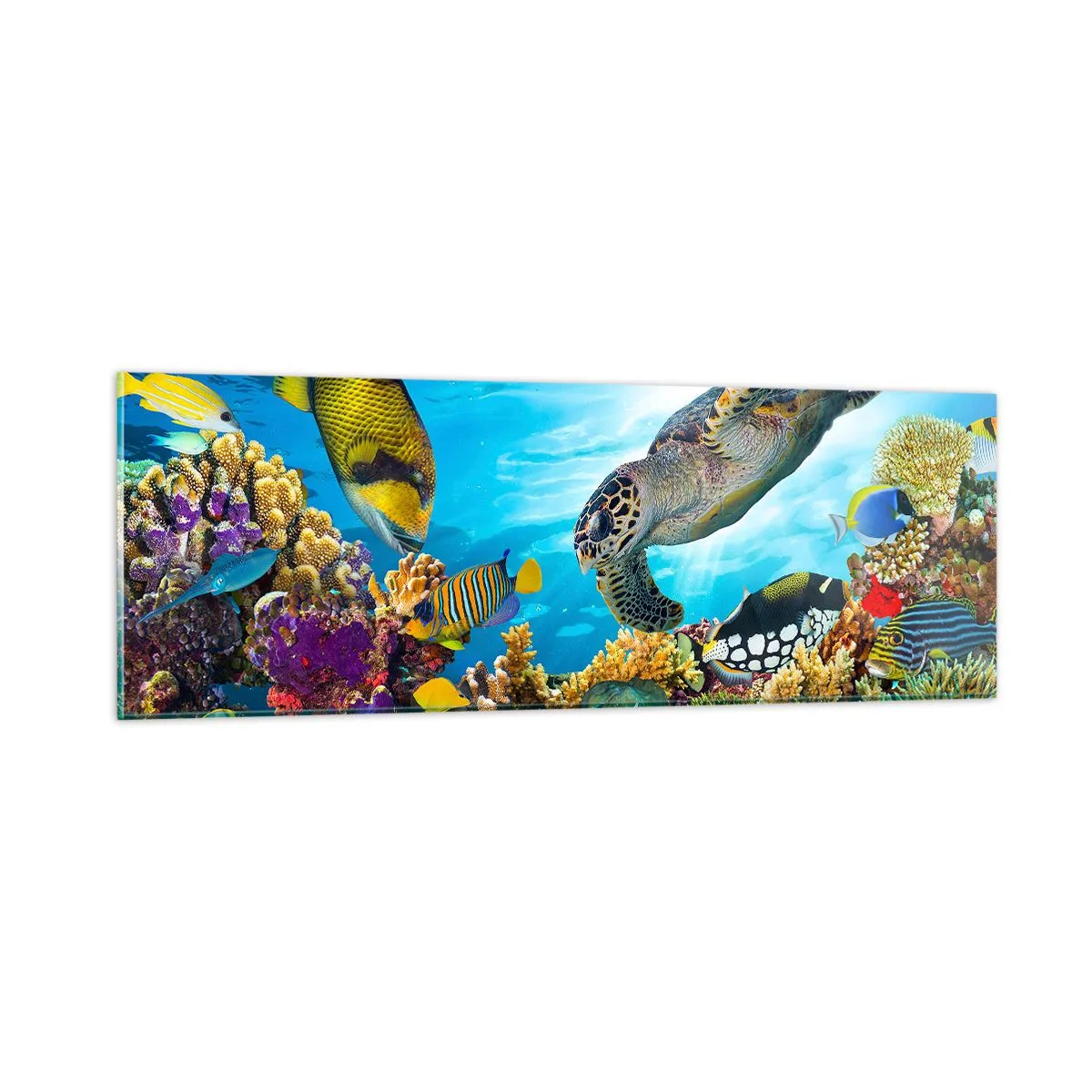 Billede på glas - Koralpromenade - 90x30 cm