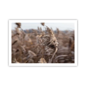 Plakat - Tid til at flyve væk med vinden - 91x61 cm