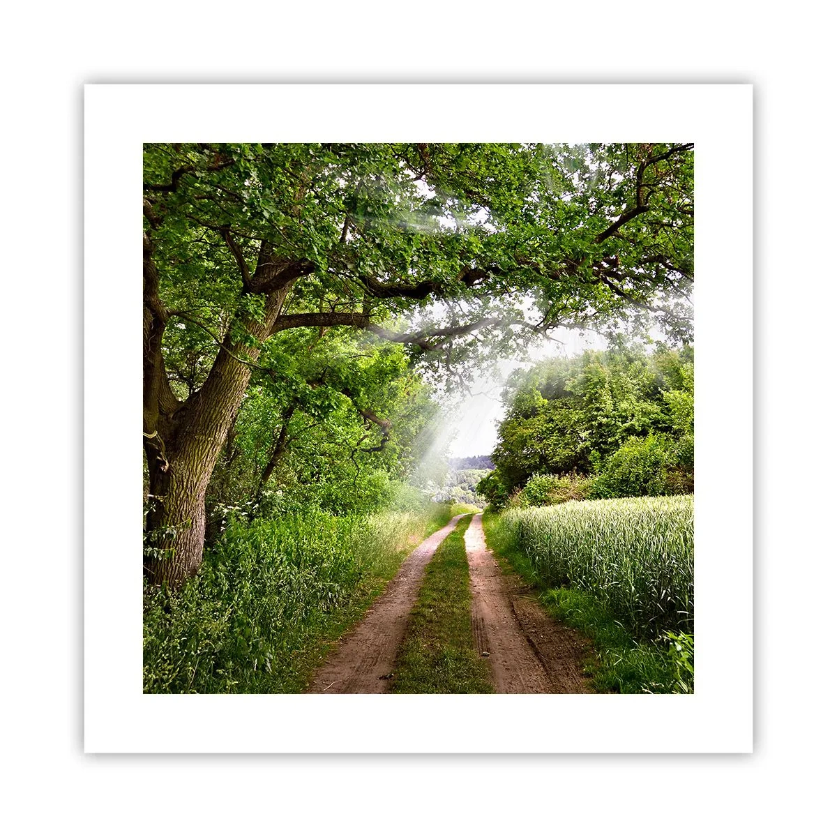 Plakat - Et in Arcadia ego - 40x40 cm
