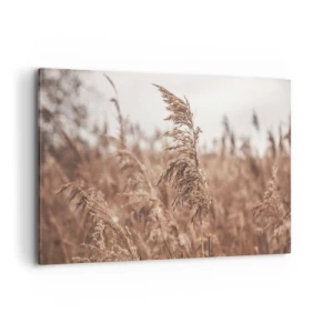 Lærredstryk - Billede på lærred - Efteråret er allerede på markerne - 120x80 cm