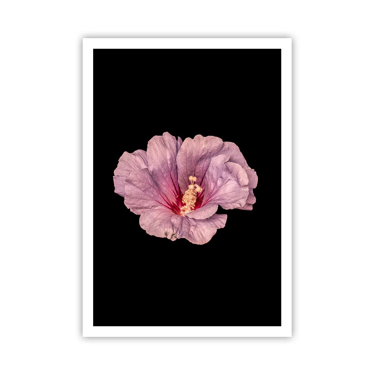 Plakat - Lige i hjertet - 70x100 cm