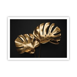 Plakat - Naturens skatte - 100x70 cm