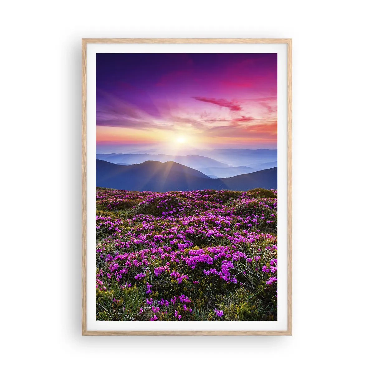 Plakat i ramme af lyst egetræ - Urter duftede friske bundter fra niw - 70x100 cm