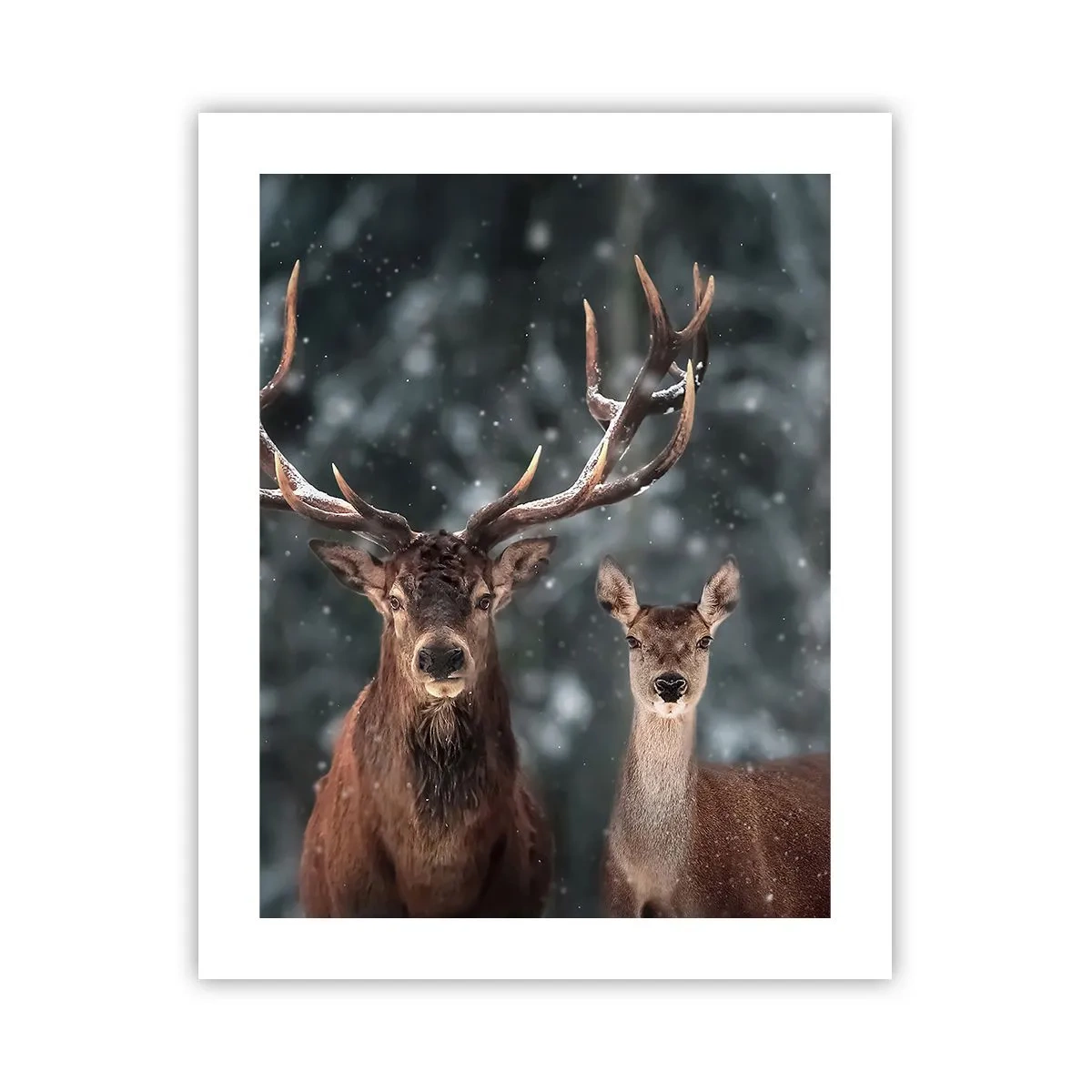 Plakat - Skovens herre og hans kone - 40x50 cm