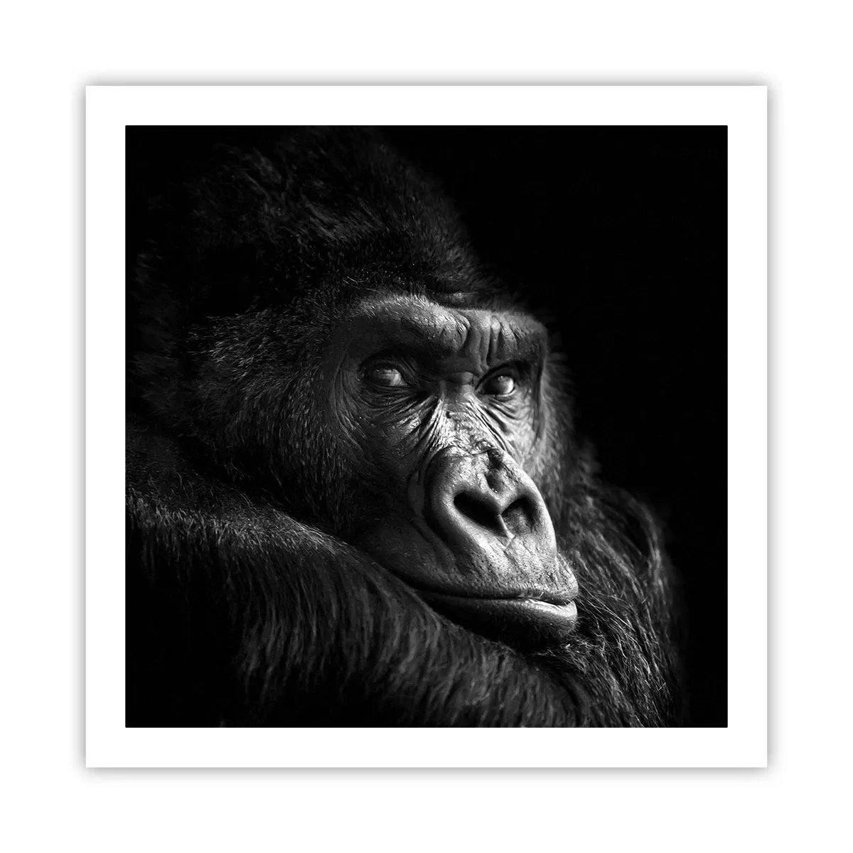 Plakat - Og hvad kigger du på? - 60x60 cm