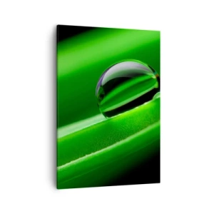 Lærredstryk - Billede på lærred - Livet på tæt hold - 50x70 cm