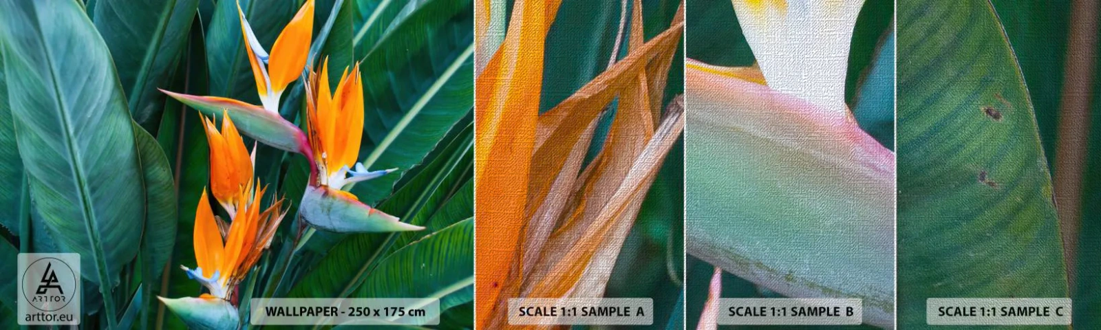 Prøve Fototapet Premium Canvas - Er det en blomst eller er det en fugl? - Strelitzia Royal, Blomst, Afrika - 100x30 cm