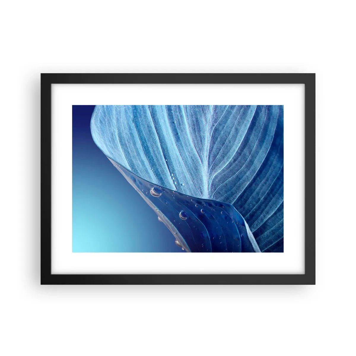 Plakat i sort ramme - Skjulte dråber af blåt - 40x30 cm