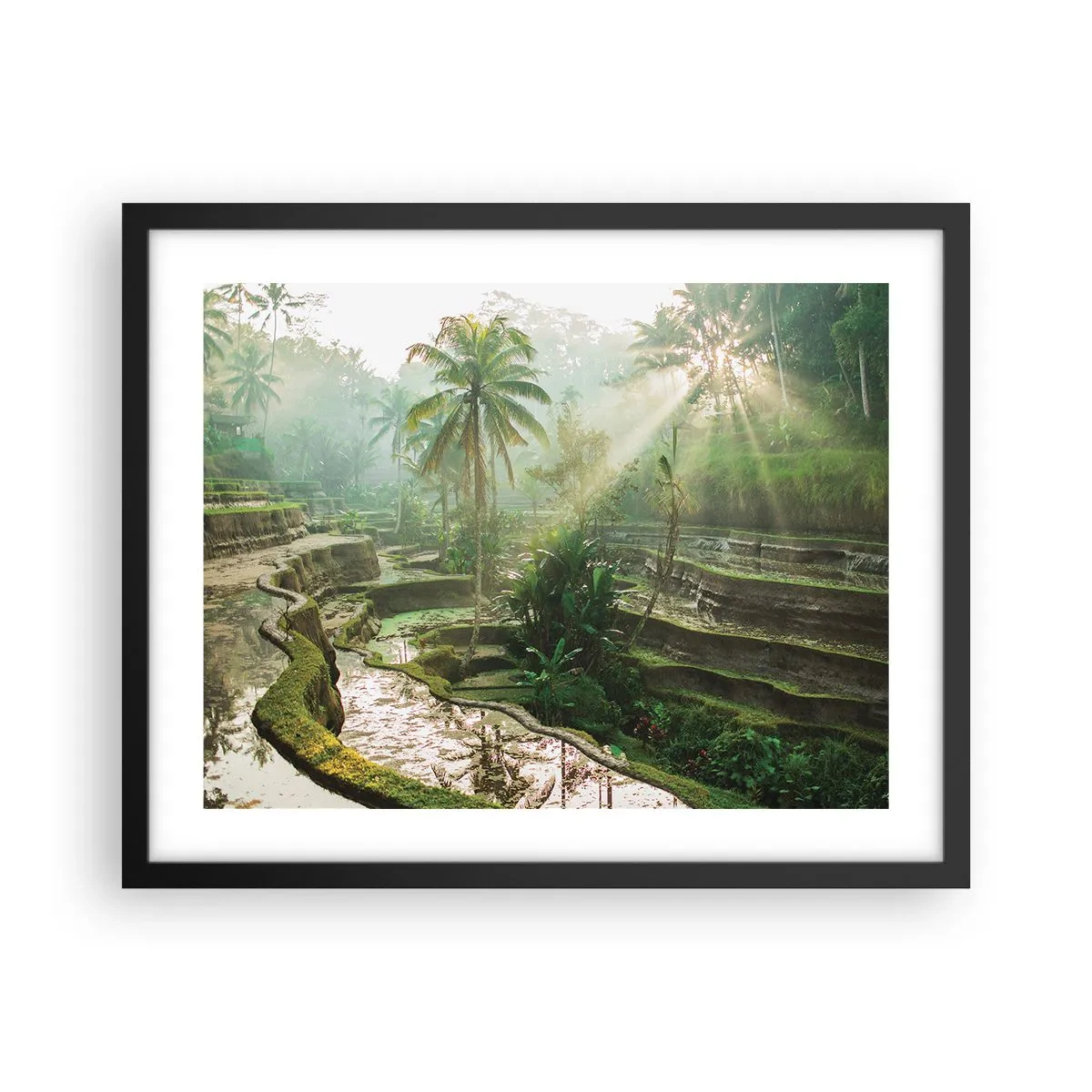 Plakat i sort ramme - Voksende op i solen - 50x40 cm