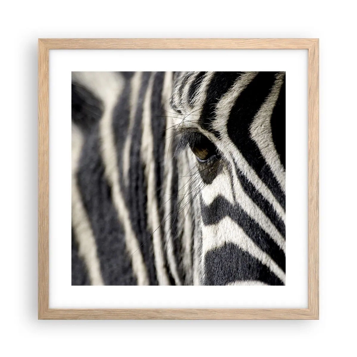 Plakat i ramme af lyst egetræ - Stribet portræt - 40x40 cm
