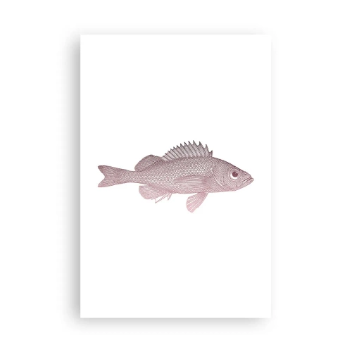 Plakat - Fisk med store øjne - 61x91 cm