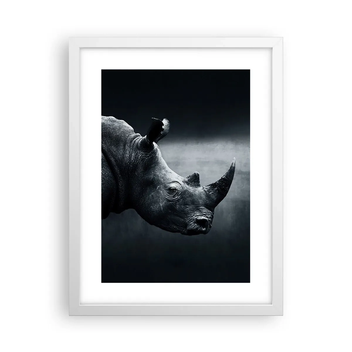 Plakat i hvid ramme - Højre profil - 30x40 cm