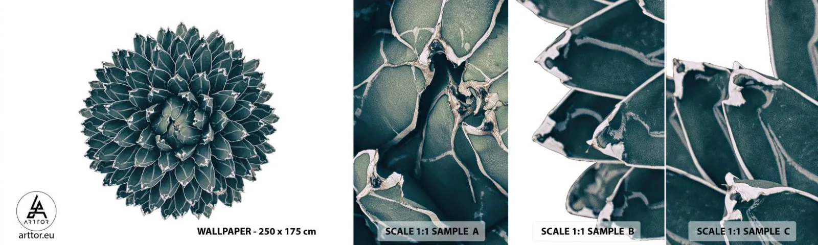 Prøve Fototapet Selvklæbende Deluxe Sticker - Ørkenstjerne - Kaktus, Agave, Grafik - 100x30 cm