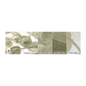 Prøve Fototapet Premium Sand - I begyndelsen var der blade... - Blomster, Berolige, Blade - 100x30 cm