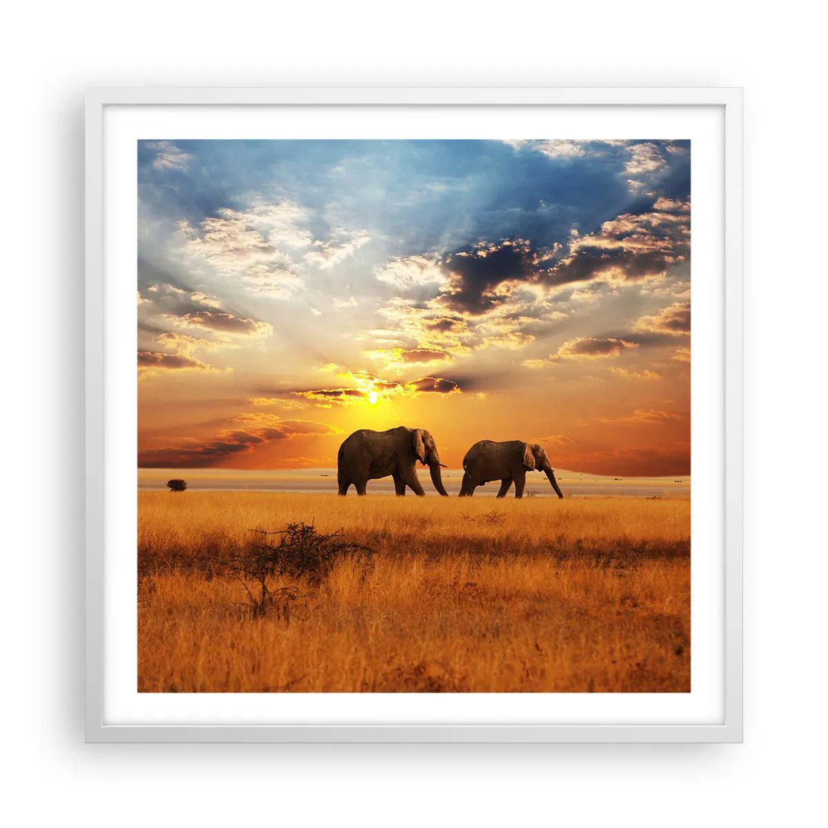 Plakat i hvid ramme - Familievandring - 60x60 cm