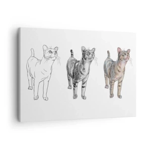 Lærredstryk - Billede på lærred - Udviklingen af en kattetegning fra skitse til farvet form - 70x50cm - Tegneundervisning - Moderne vægdekoration til stue og soveværelse ARTTOR