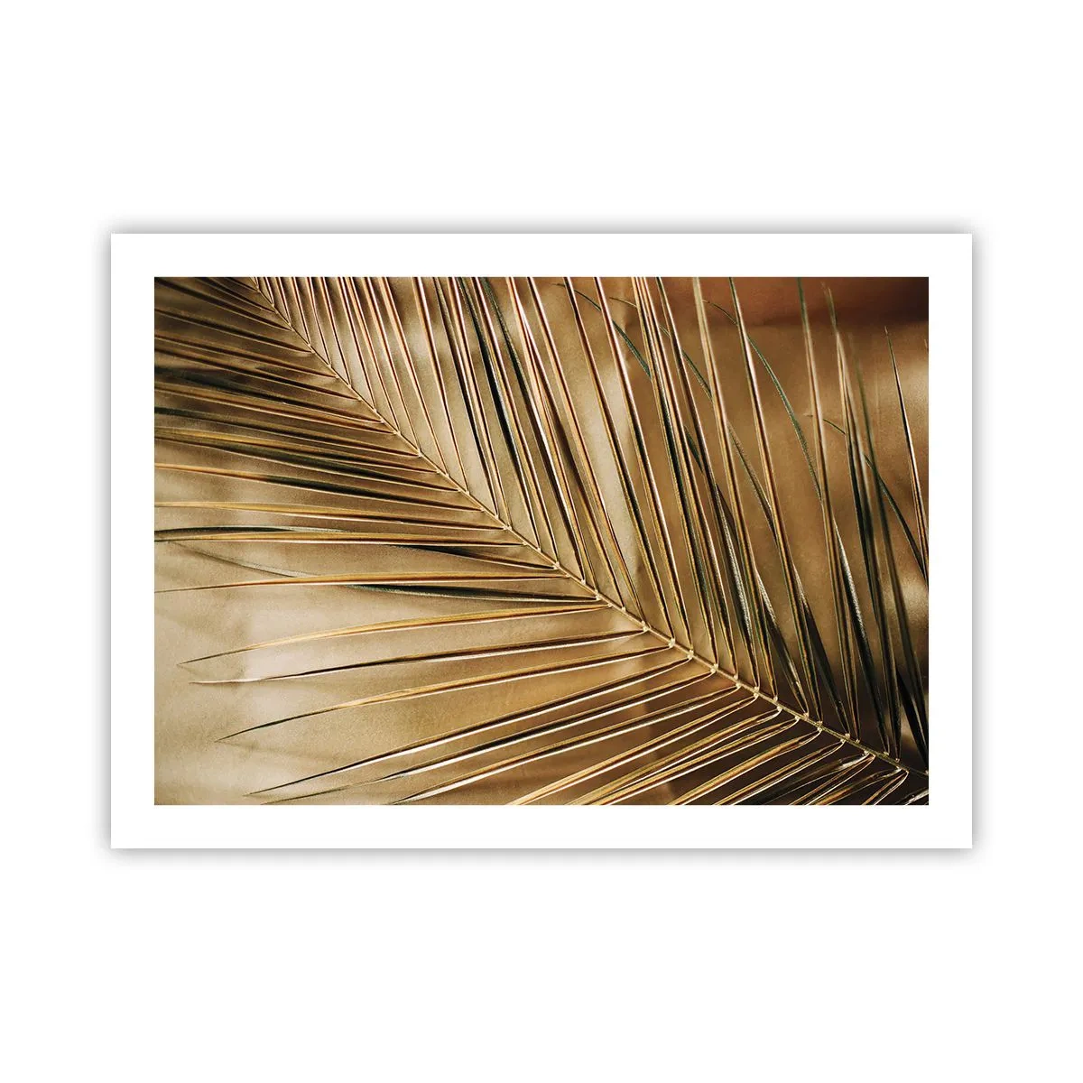 Plakat - Naturlig kolonnade - 70x50 cm