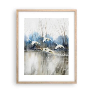 Plakat i ramme af lyst egetræ - Som i en fortælling om vilde svaner - 40x50 cm