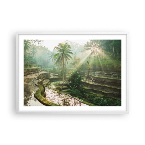 Plakat i hvid ramme - Voksende op i solen - 70x50 cm