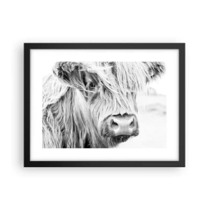Plakat i sort ramme - Skotsk vildmark - 40x30 cm