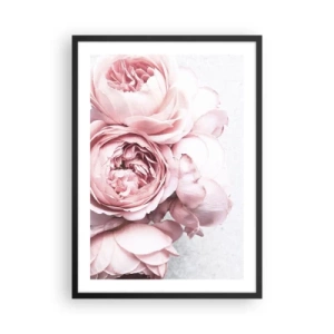 Plakat i sort ramme - Delikate lyserøde pæonblomster nærbillede - 50x70cm - For de romantiske - Moderne vægdekoration til stue og soveværelse ARTTOR