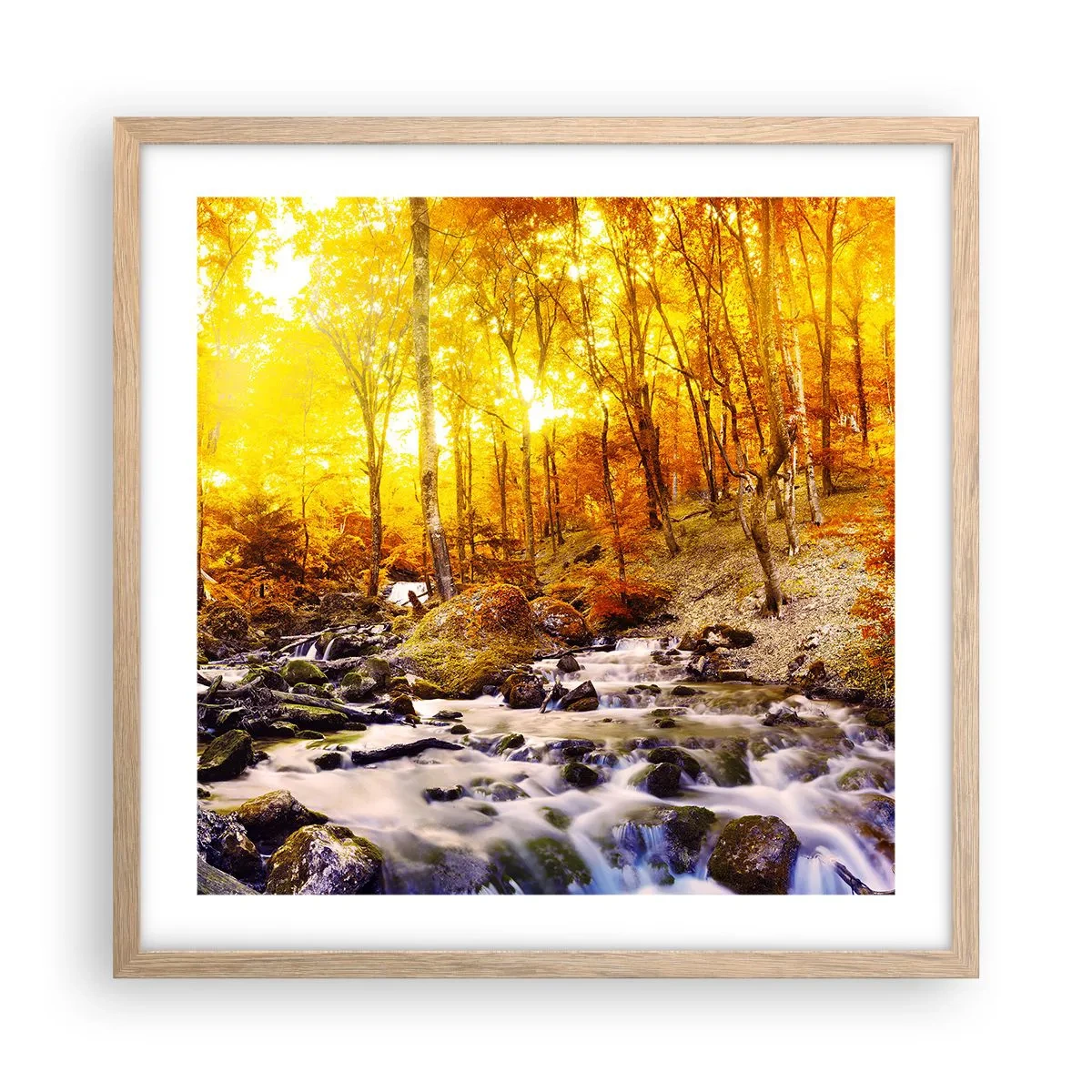 Plakat i ramme af lyst egetræ - Sten indfattet i guld og platin - 50x50 cm