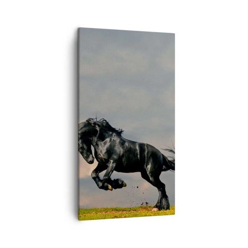 Lærredstryk - Billede på lærred - Smuk og fri - 45x80 cm