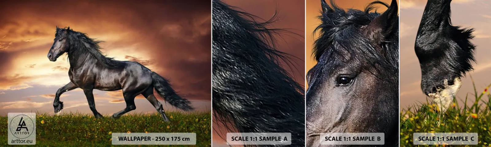 Prøve Fototapet Selvklæbende Deluxe Sticker - Sort prins - Dyr, arabisk hest, Landskab - 100x30 cm