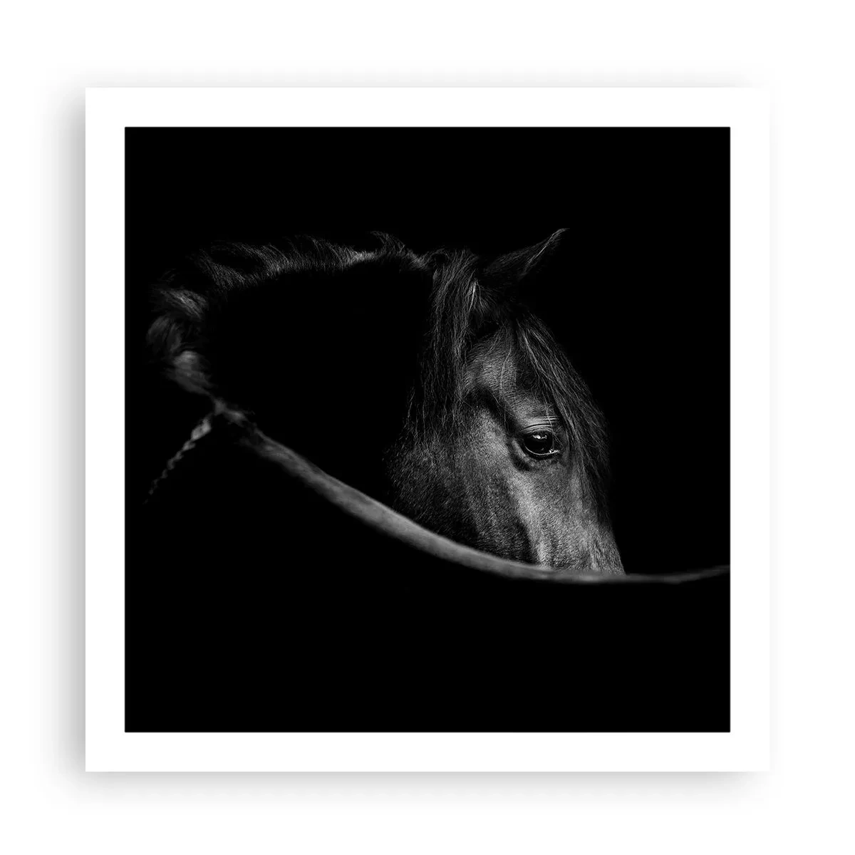 Plakat - Sort prins - 60x60 cm