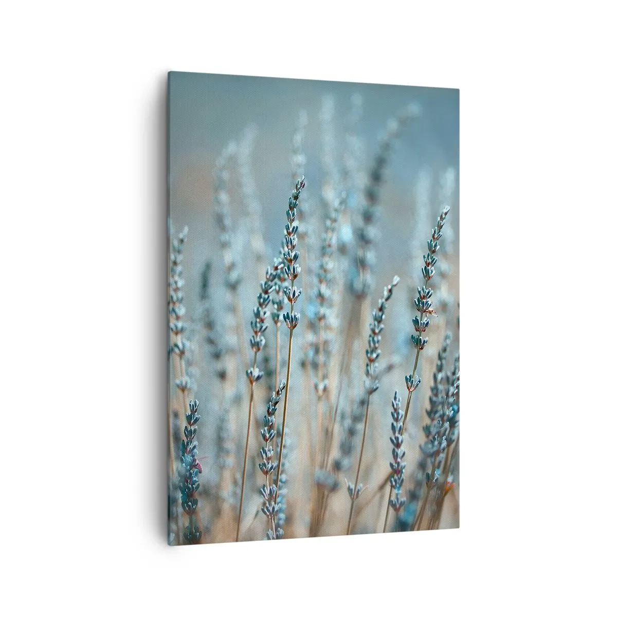 Lærredstryk - Billede på lærred - Duftende plet - 70x100 cm