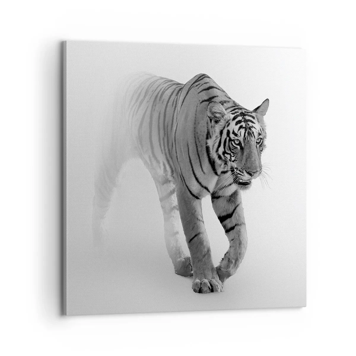 Lærredstryk - Billede på lærred - Krybende i tågen - 60x60 cm