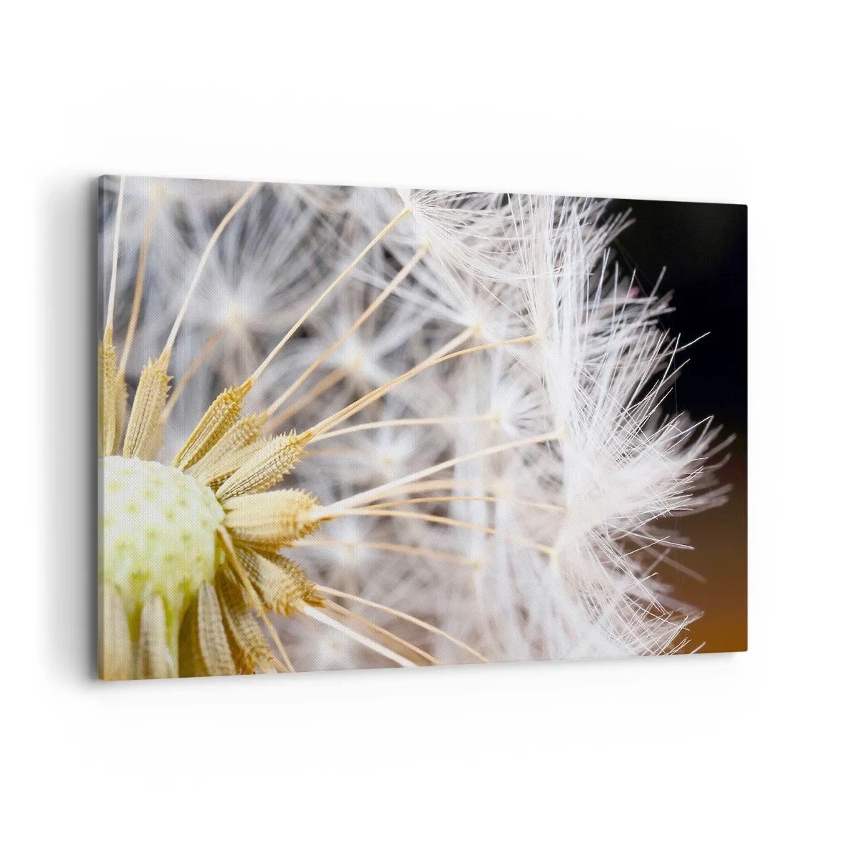 Lærredstryk - Billede på lærred - Lige før afrejse - 120x80 cm