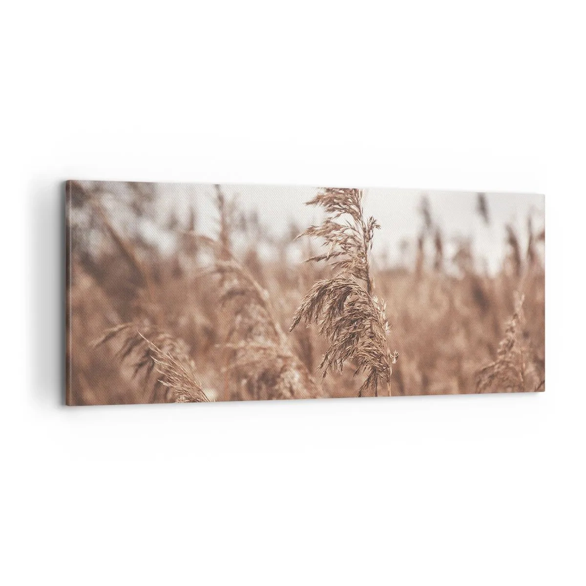 Lærredstryk - Billede på lærred - Efteråret er allerede på markerne - 100x40 cm