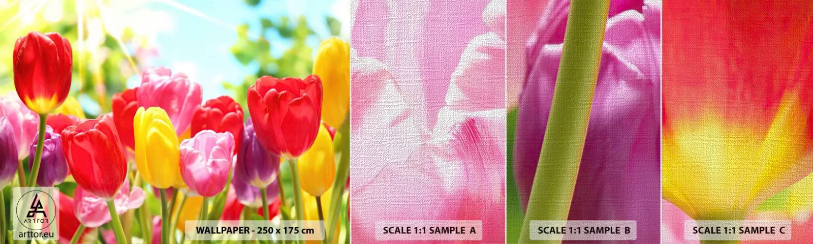 Prøve Fototapet Premium Canvas - Det er os, maj måneds farver! - Blomster, Tulipaner, Have - 100x30 cm